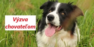 Výzva chovateľom psov !!!
